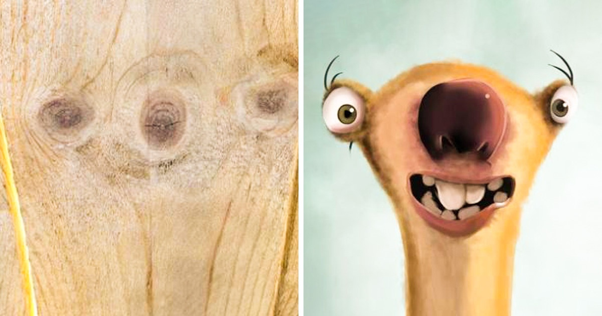 19 Fotos que provam como ver formas em coisas comuns é um caminho sem volta 19 Fotos que provam como ver formas em coisas comuns é um caminho sem volta