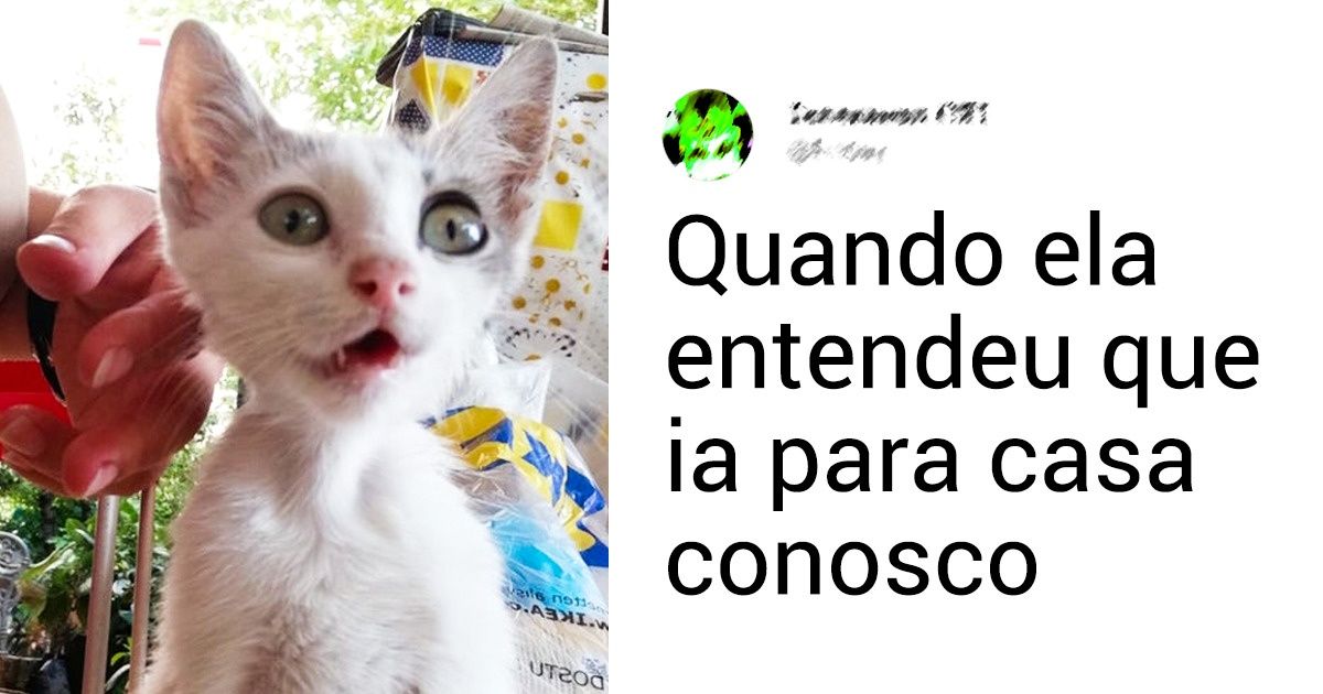 20 Pessoas que conheceram seus animais de estimação por acaso (e são apaixonadas por eles até hoje) 20 Pessoas que conheceram seus animais de estimação por acaso (e são apaixonadas por eles até hoje)