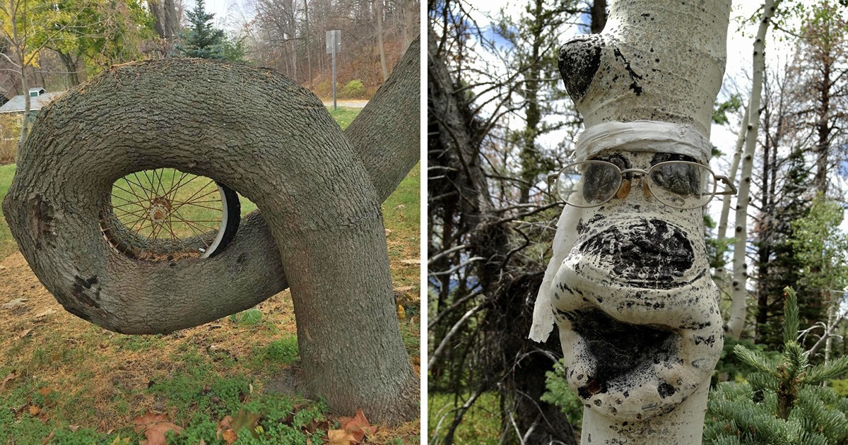 14 Vezes em que objetos abandonados se tornaram ainda mais charmosos