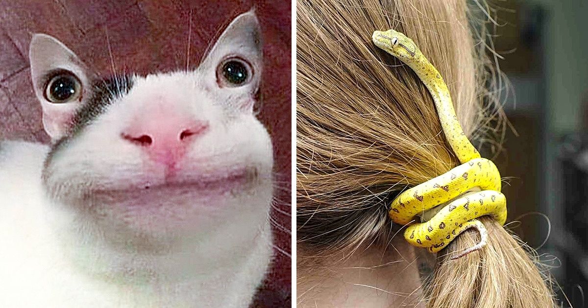 15 Fotos para olhar mais de duas vezes e mesmo assim não acreditar