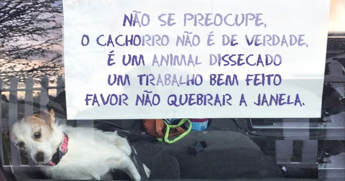 25 Anúncios super sinceros