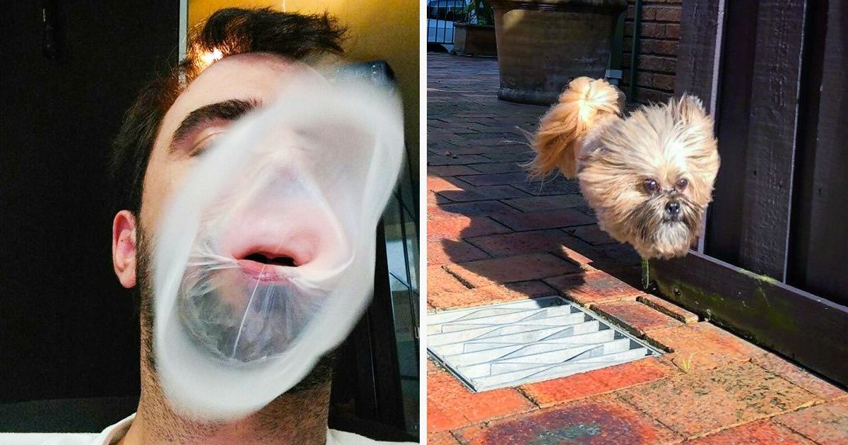33 Fotos que mostram a importância de clicar o momento ideal