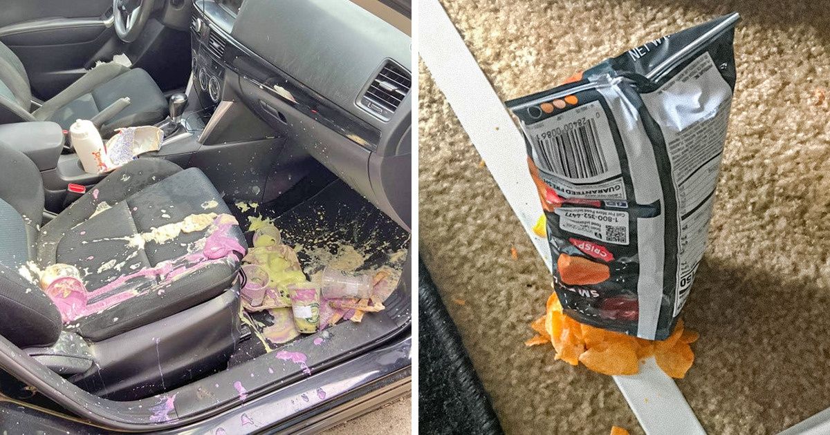 19 Vezes em que um pequeno descuido acabou em um enorme desastre