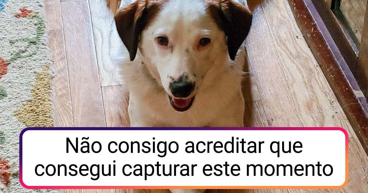 20+ Internautas que decidiram compartilhar suas melhores fotos