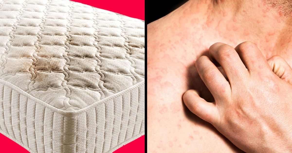 O melhor jeito de renovar seu colchão e acabar com os ácaros O melhor jeito de renovar seu colchão e acabar com os ácaros