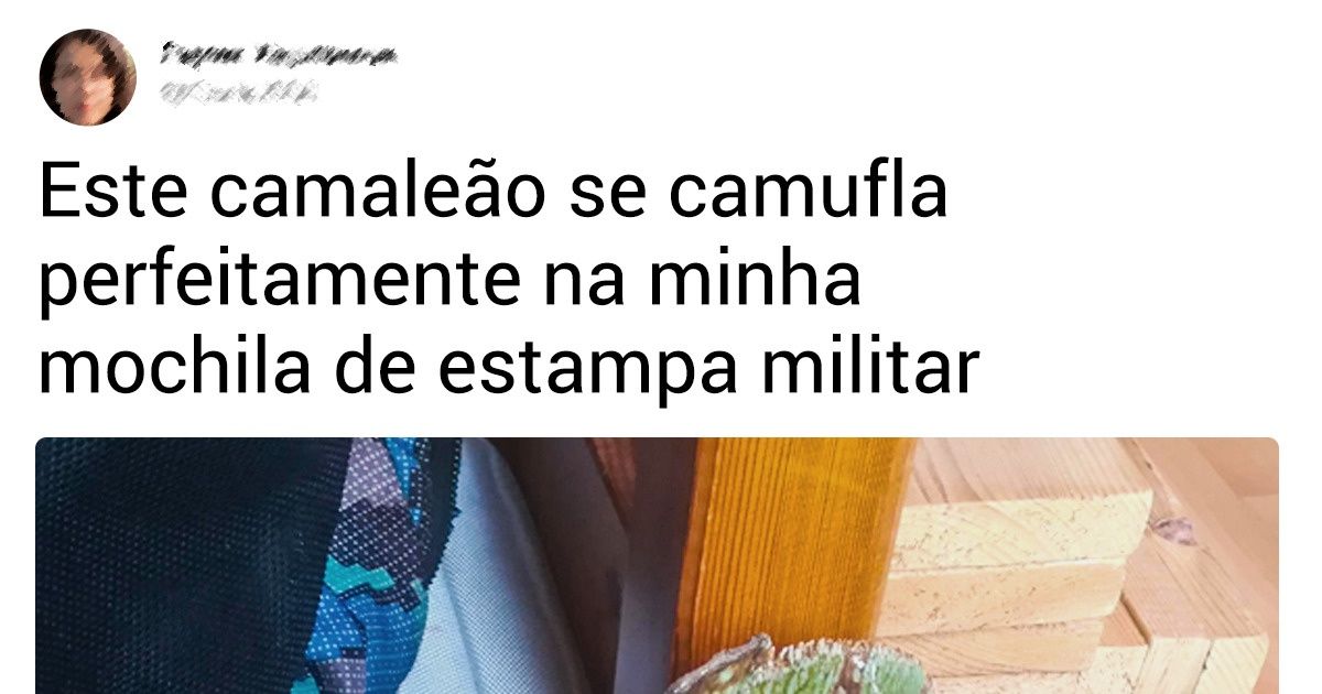 19 Provas de que até as coisas mais simples ainda podem nos surpreender 19 Provas de que até as coisas mais simples ainda podem nos surpreender