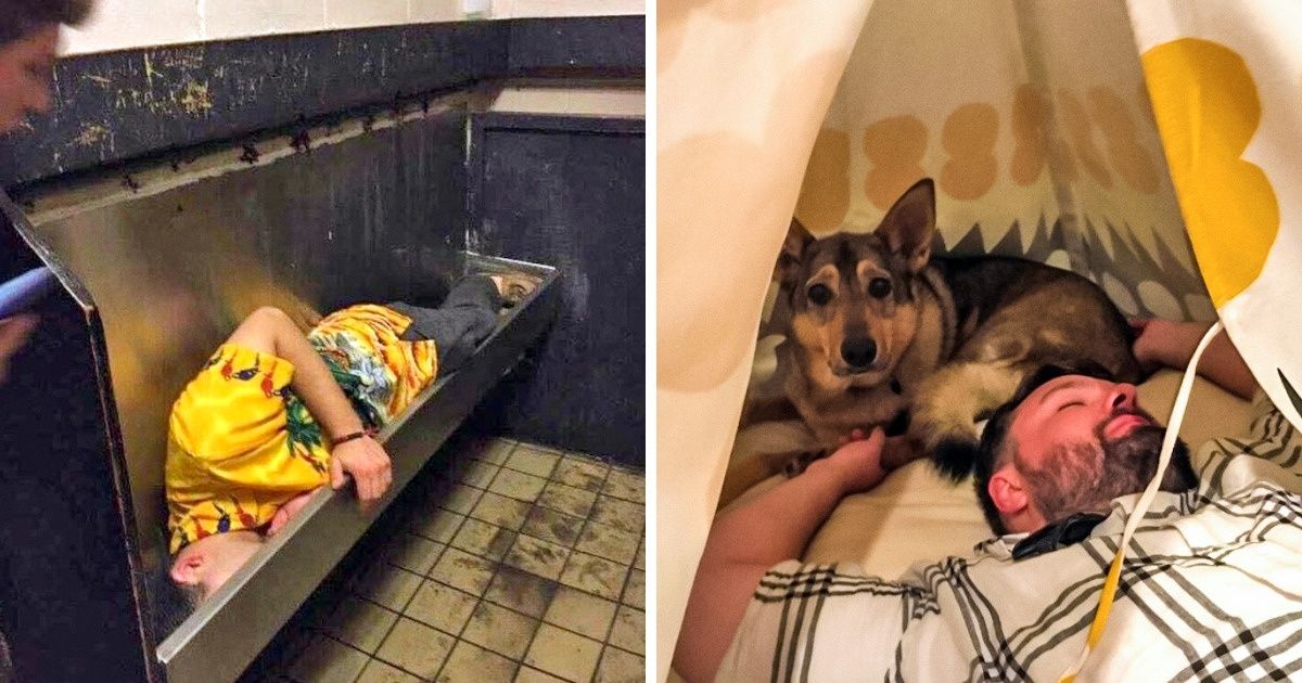 18 Fotos que provam a importância de se manter sóbrio