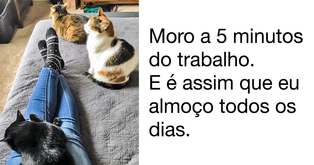 Fotos que mostram que o paraíso individual dos introvertidos não está aberto a estranhos