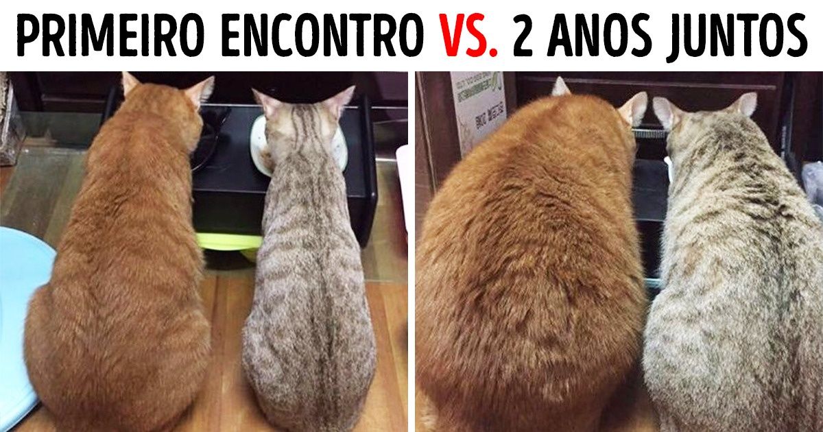 20+ Fotos que descrevem as relações de um casal melhor do que qualquer música de amor 20+ Fotos que descrevem as relações de um casal melhor do que qualquer música de amor