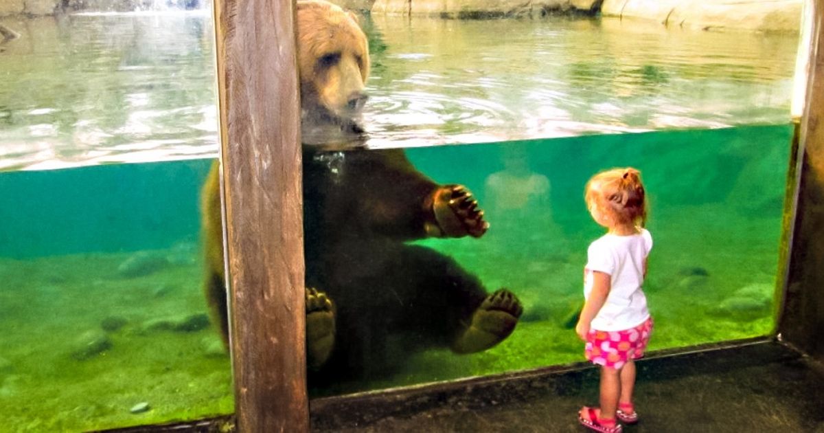 30 Exemplos de que crianças e animais de estimação são a melhor combinação deste mundo