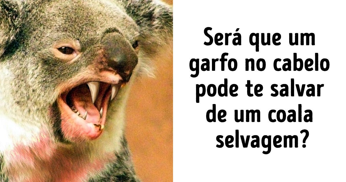 15 Dados curiosos e pra lá de interessantes sobre a Austrália