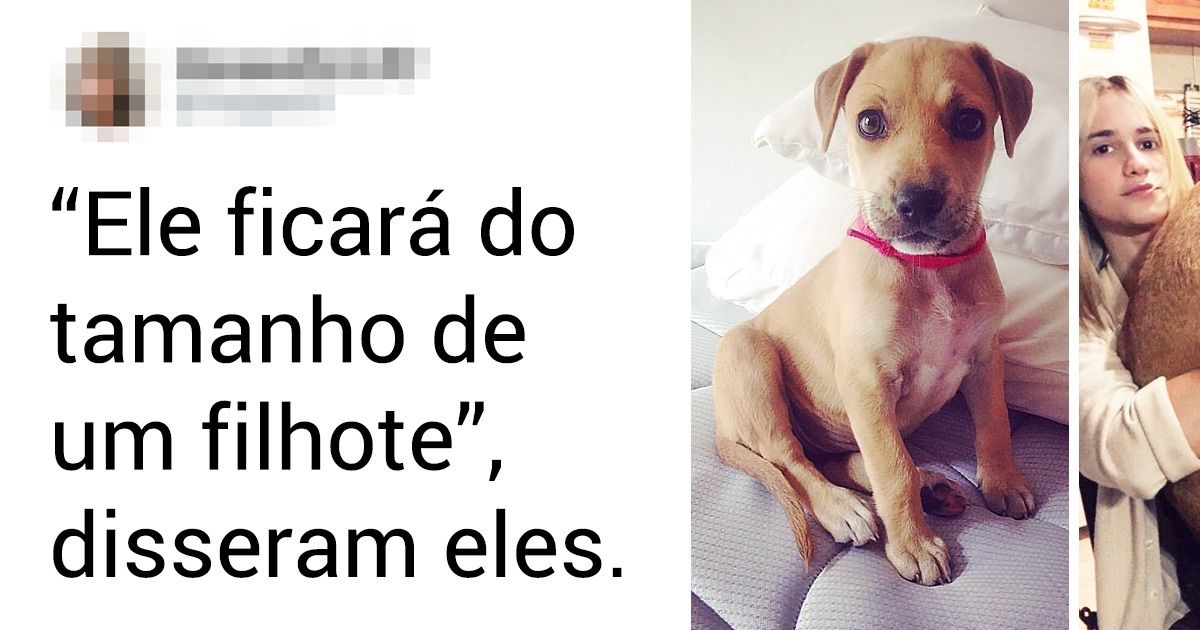 15+ Animais de estimação que acabaram surpreendendo seus donos com características inesperadas quando cresceram