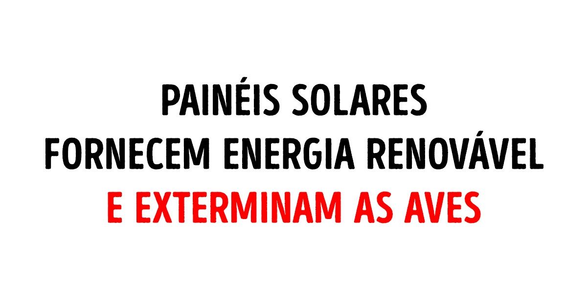 10 Verdades incômodas sobre ecologia que todos deveriam conhecer