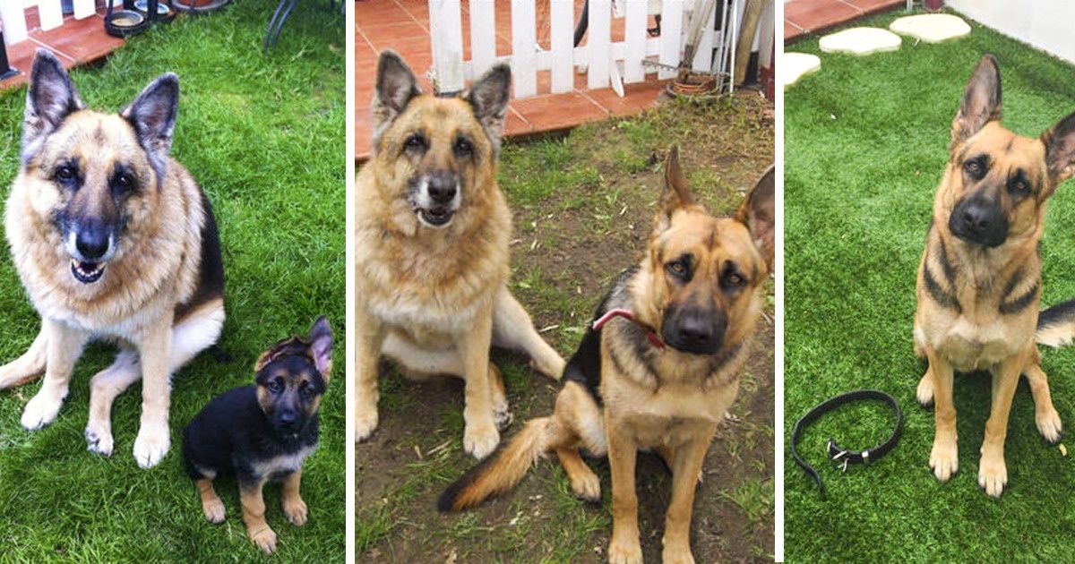 20+ Fotos que mostram como o tempo passa sem piedade