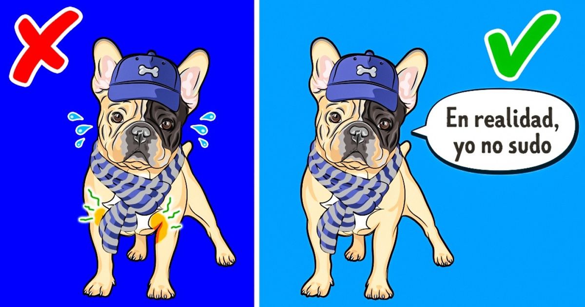 10 Fatos sobre os animais nos precisamos parar de acreditar 10 Fatos sobre os animais nos precisamos parar de acreditar