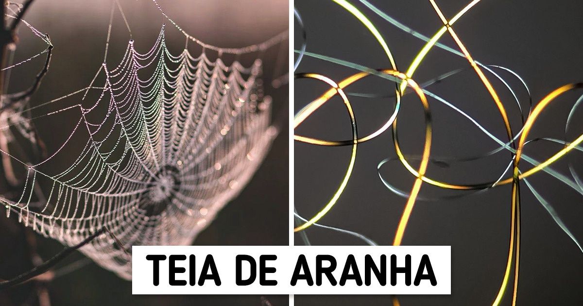 15 Fotos que mostram objetos e alimentos comuns sob a ótica de um microscópio