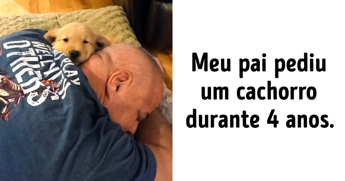 18 Fotos capazes de aquecer até mesmo o coração mais gelado