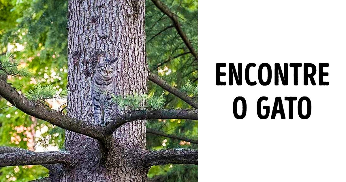 20 Animais que são verdadeiros mestres na arte da camuflagem 20 Animais que são verdadeiros mestres na arte da camuflagem