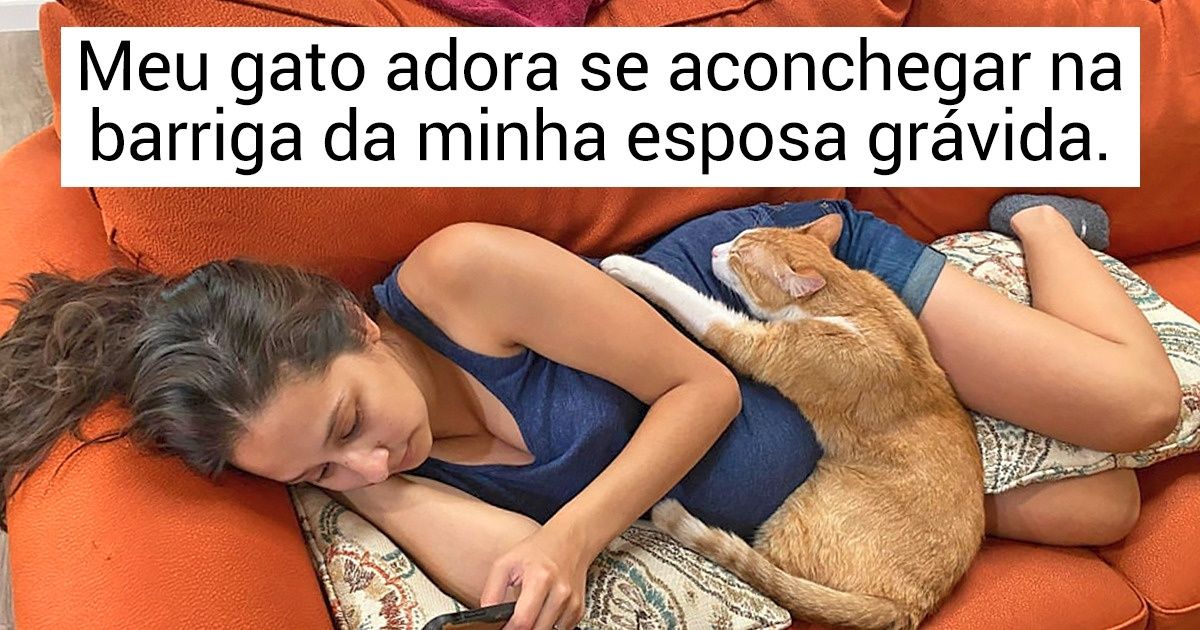 20+ Pets que presentearam seus donos com o amor incondicional