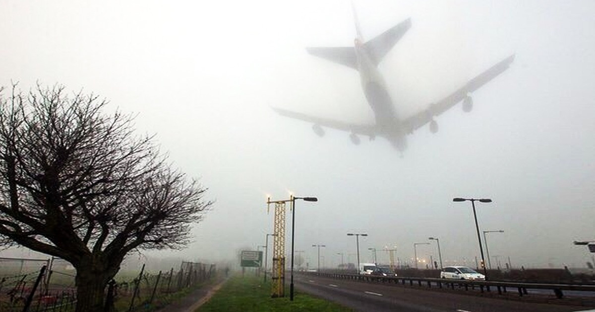 20+ Fotos clicadas por verdadeiros sortudos