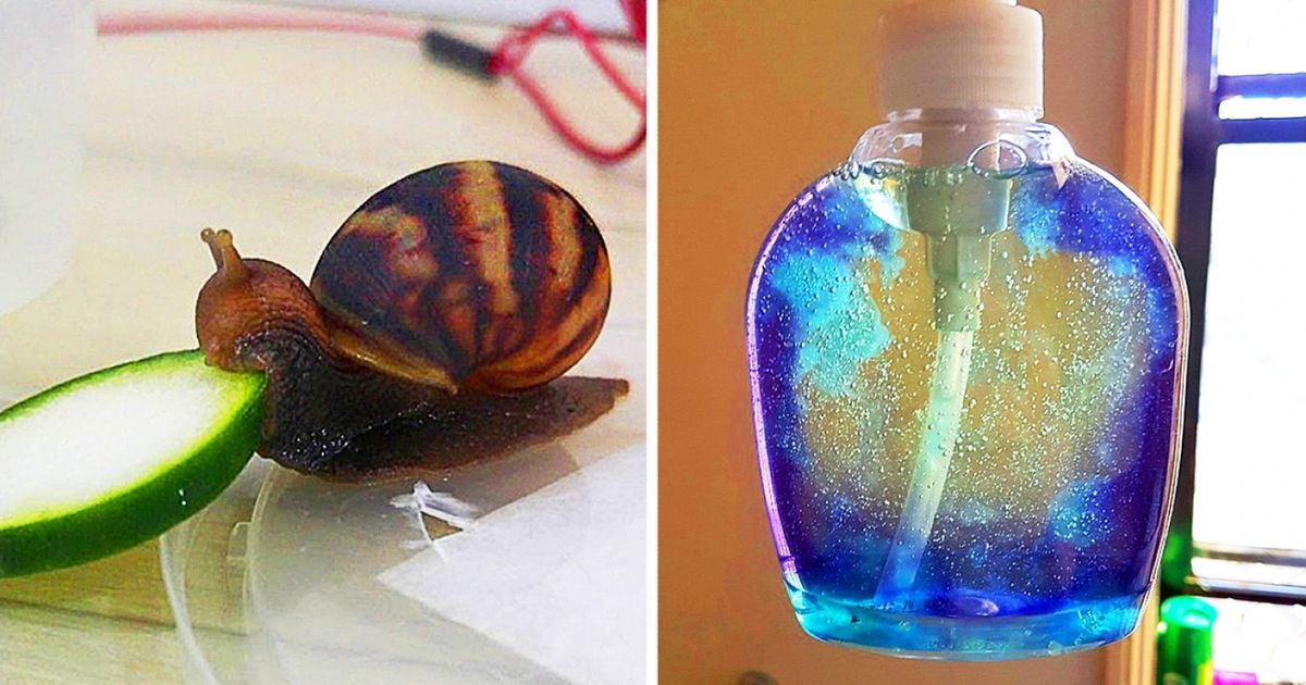 30 Fotos impressionantes que você precisa ver pelo menos uma vez