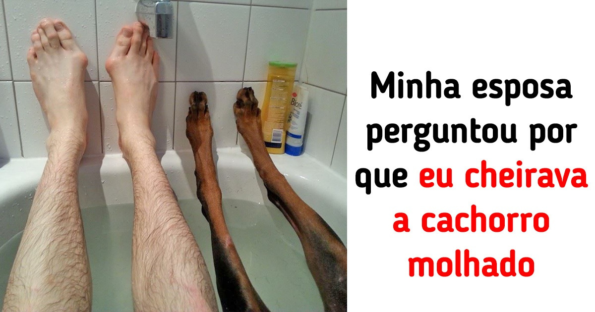 14 Pessoas que se envolveram em situações cômicas e quiseram compartilhar suas fotos