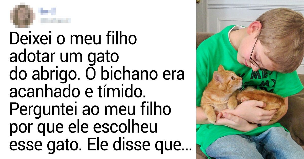 15 Pessoas que resgataram um animal e encontraram um amigo para a vida toda