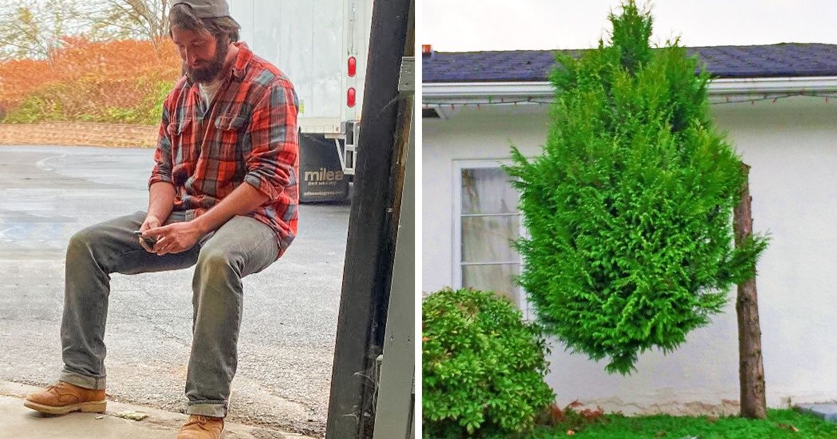 20 Fotos desconcertantes que nos fizeram pensar: “o que aconteceu aqui?”