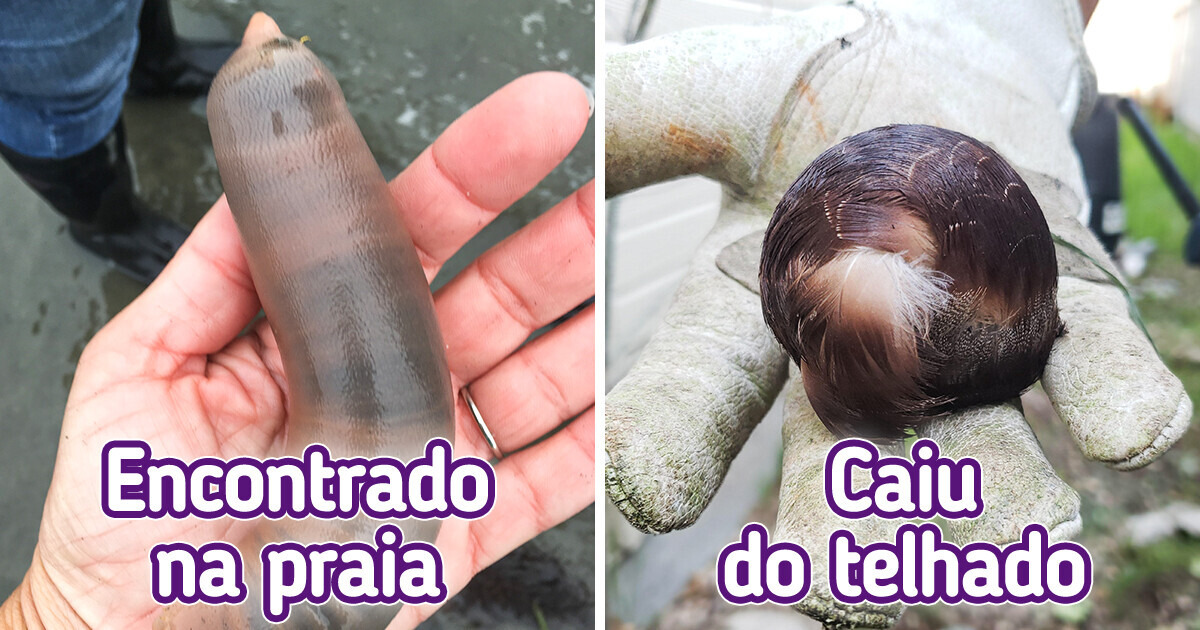 18 Achados misteriosos que a internet ajudou a desvendar o que eram