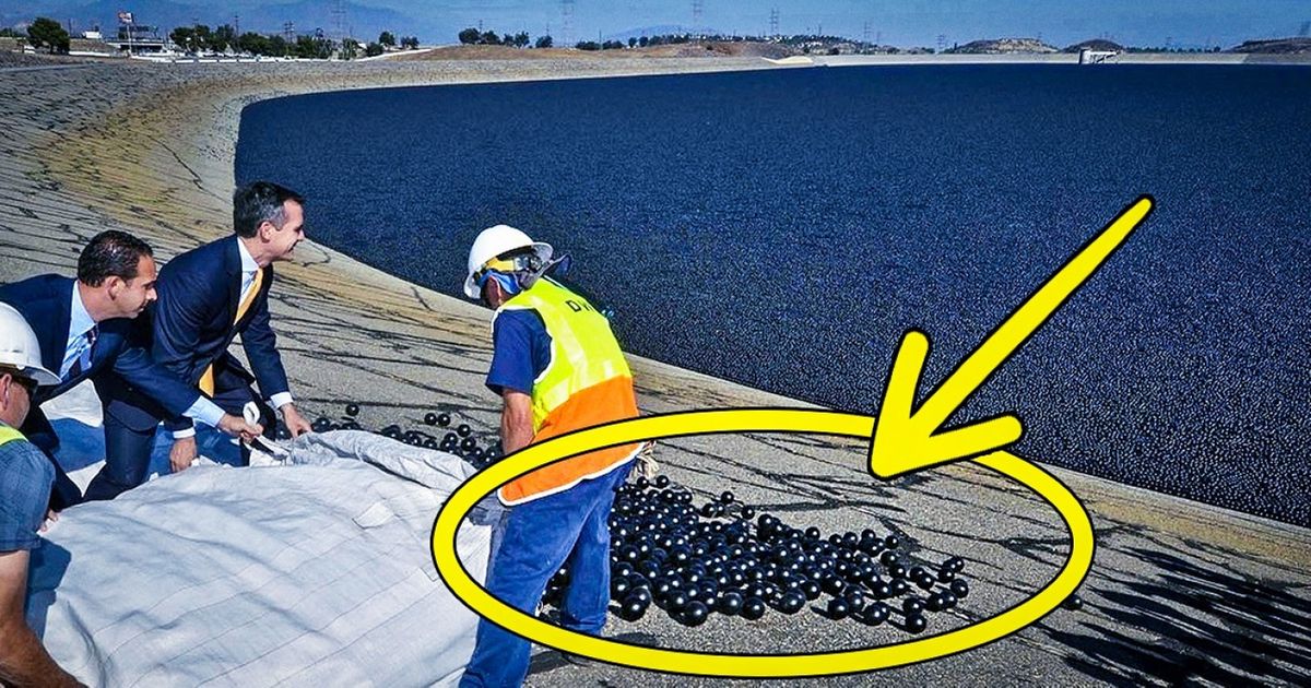 Quando uma ideia louca se transforma em um sucesso Quando uma ideia louca se transforma em um sucesso