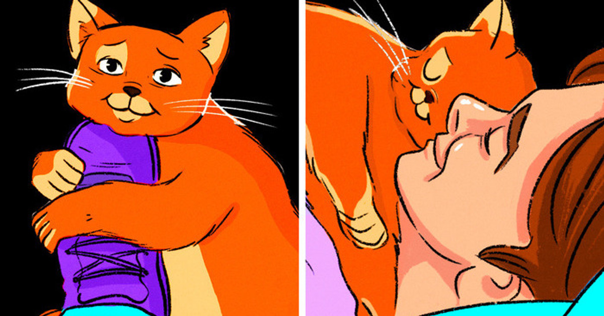 Se um gato sorrir para você, não é o que você está pensando