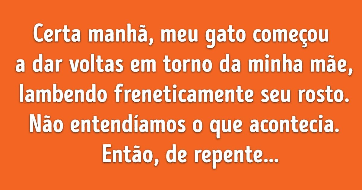 20+ Pessoas que compartilharam relatos da inteligência impressionante de seus pets