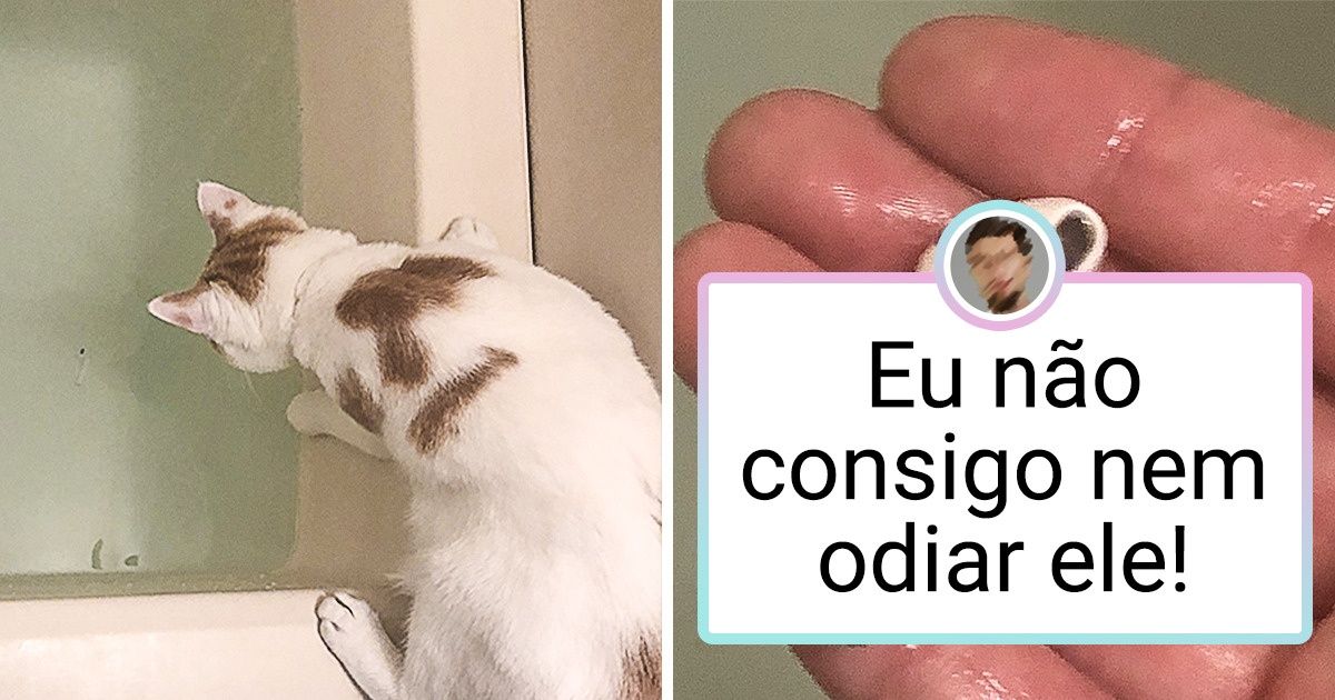 19 Internautas compartilharam seus pequenos e grandes dramas do dia a dia 19 Internautas compartilharam seus pequenos e grandes dramas do dia a dia