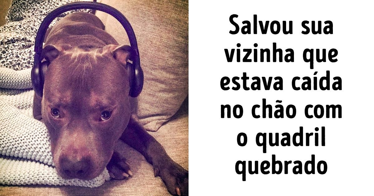 15 Histórias que provam que os cães são verdadeiros heróis sem capa 15 Histórias que provam que os cães são verdadeiros heróis sem capa