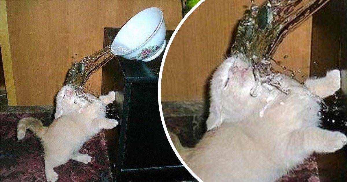 20+ Fotos tiradas um segundo antes de uma pequena catástrofe
