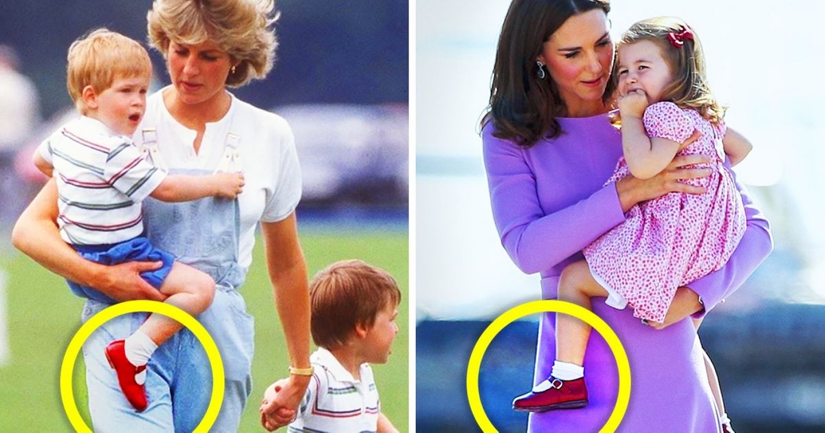15 Fotos para alegrar o seu dia