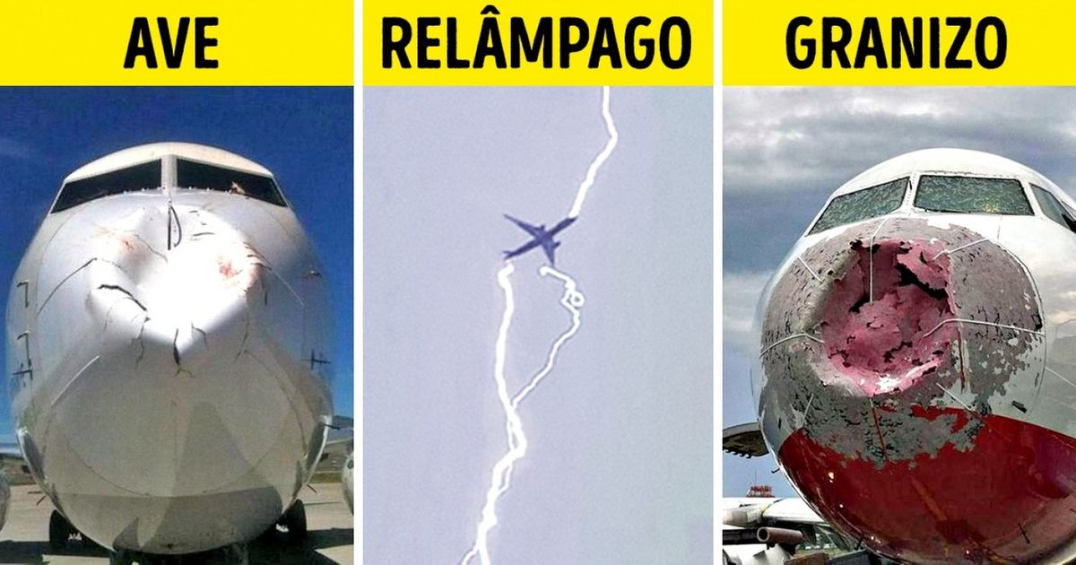 Pilotos respondem a 16 perguntas de passageiros Pilotos respondem a 16 perguntas de passageiros