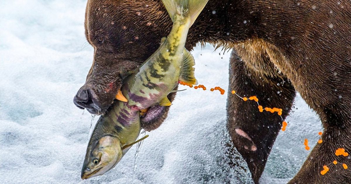 30 Fotos da National Geographic que vão te deixar sem fôlego