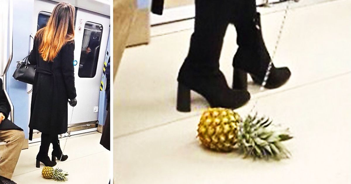 20 Fotos que simplesmente não têm explicação