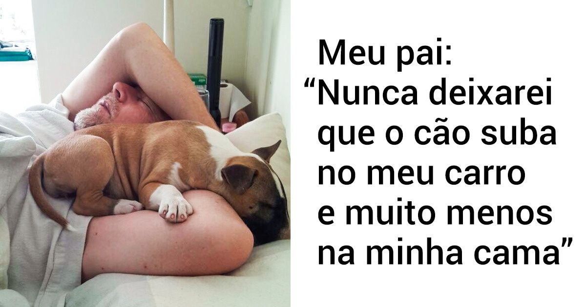 19 Pessoas que não queriam animais e hoje não vivem sem um pet