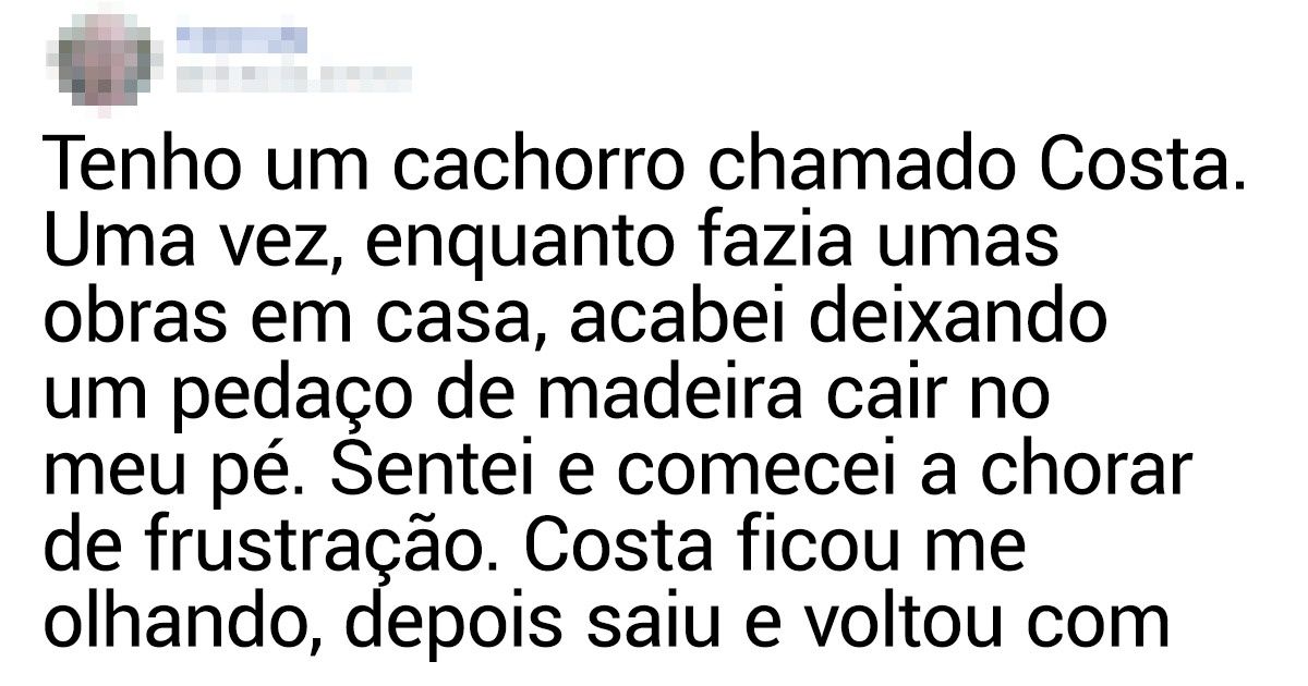 20+ Pessoas que ficaram chocadas com a astúcia e o senso de humor de seus animais de estimação 20+ Pessoas que ficaram chocadas com a astúcia e o senso de humor de seus animais de estimação