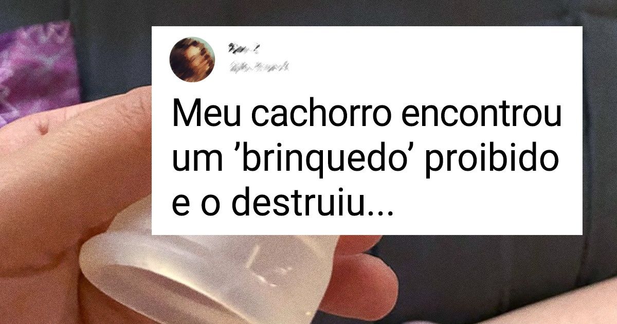 16 Fotos compartilhadas por internautas que expressam o verdadeiro drama do dia a dia 16 Fotos compartilhadas por internautas que expressam o verdadeiro drama do dia a dia