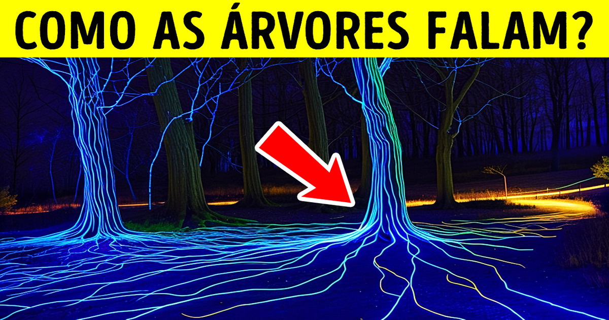 As plantas falam, mas não conseguimos ouvi-las As plantas falam, mas não conseguimos ouvi-las