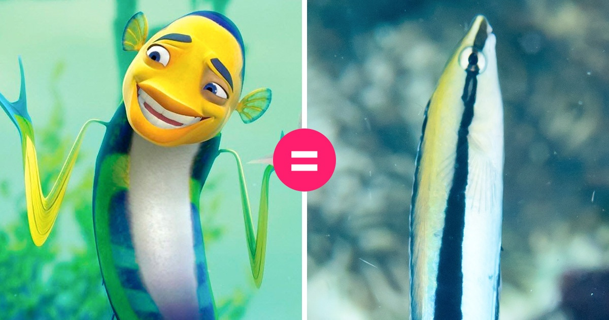 Como são 20 animais dos desenhos animados da infância na vida real Como são 20 animais dos desenhos animados da infância na vida real
