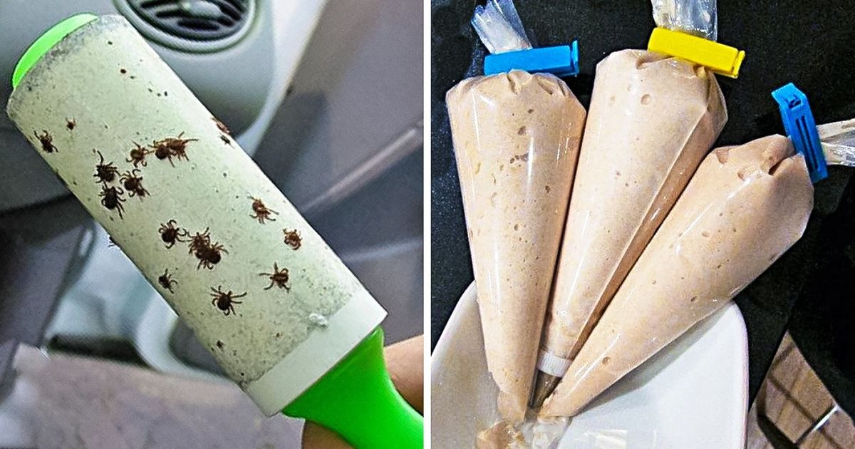 Ideias geniais para quem gosta de acampar