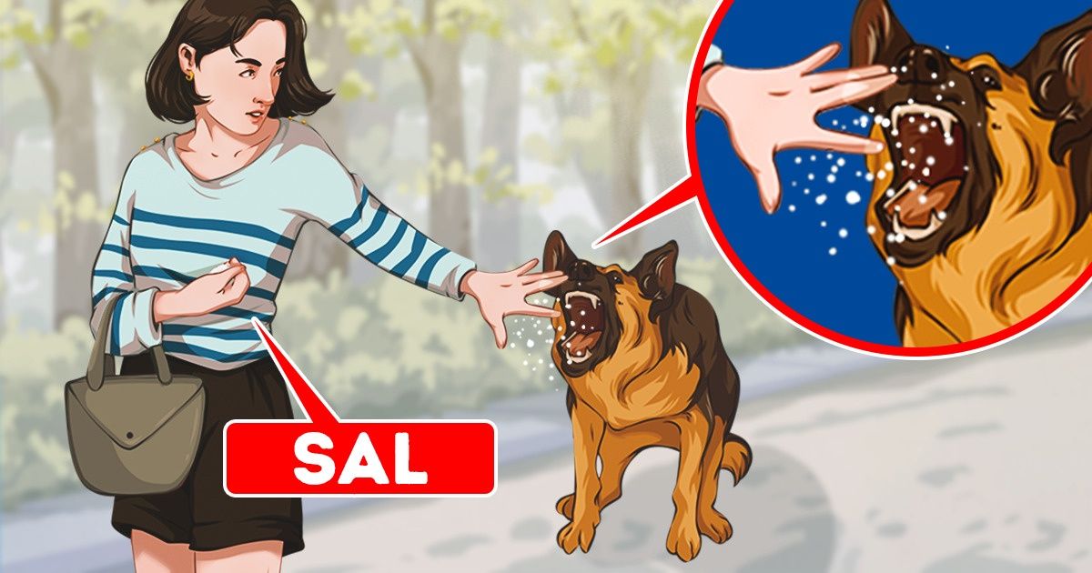 8 Coisas úteis que devemos ter em nossa bolsa em caso de emergência 8 Coisas úteis que devemos ter em nossa bolsa em caso de emergência