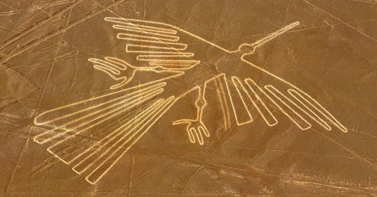 Cientistas revelam o mistério das aves nas linhas de Nazca (elas não são o que se pensava) Cientistas revelam o mistério das aves nas linhas de Nazca (elas não são o que se pensava)