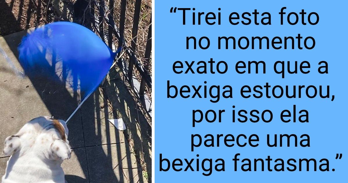 23 Sortudos que tiraram fotos no momento certo