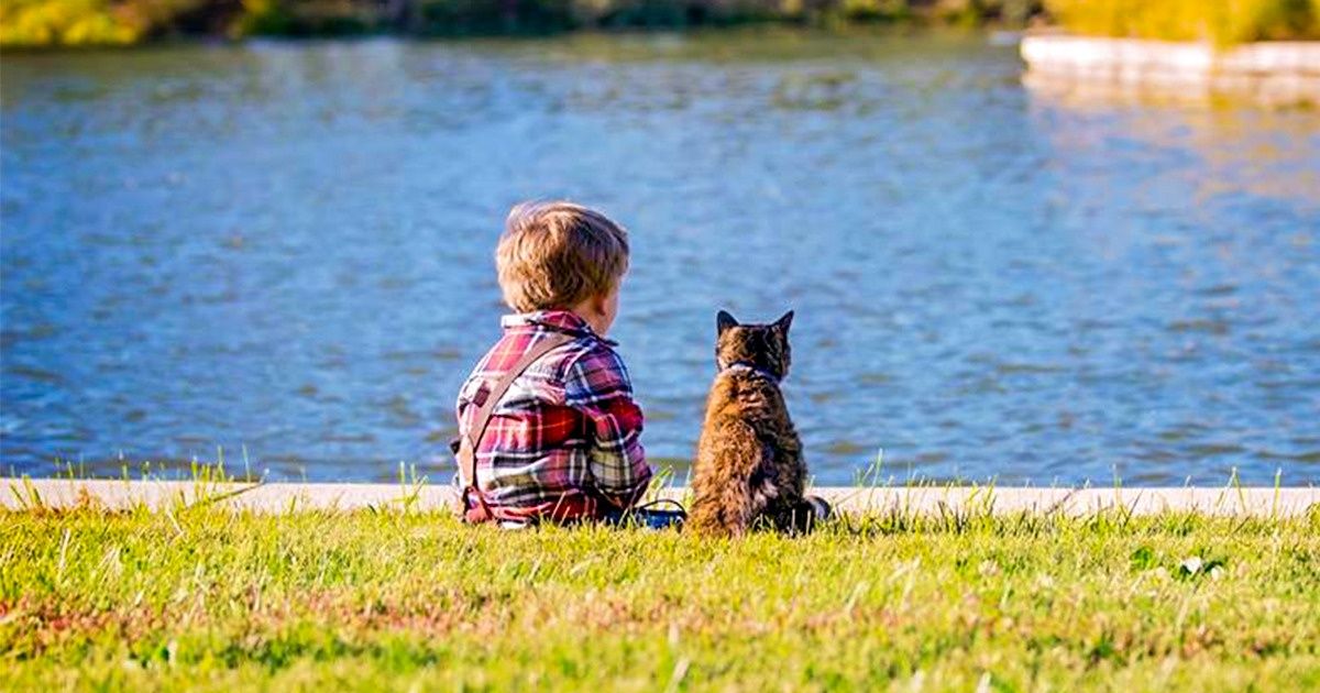 18 Fotos comoventes que vão derreter seu coração