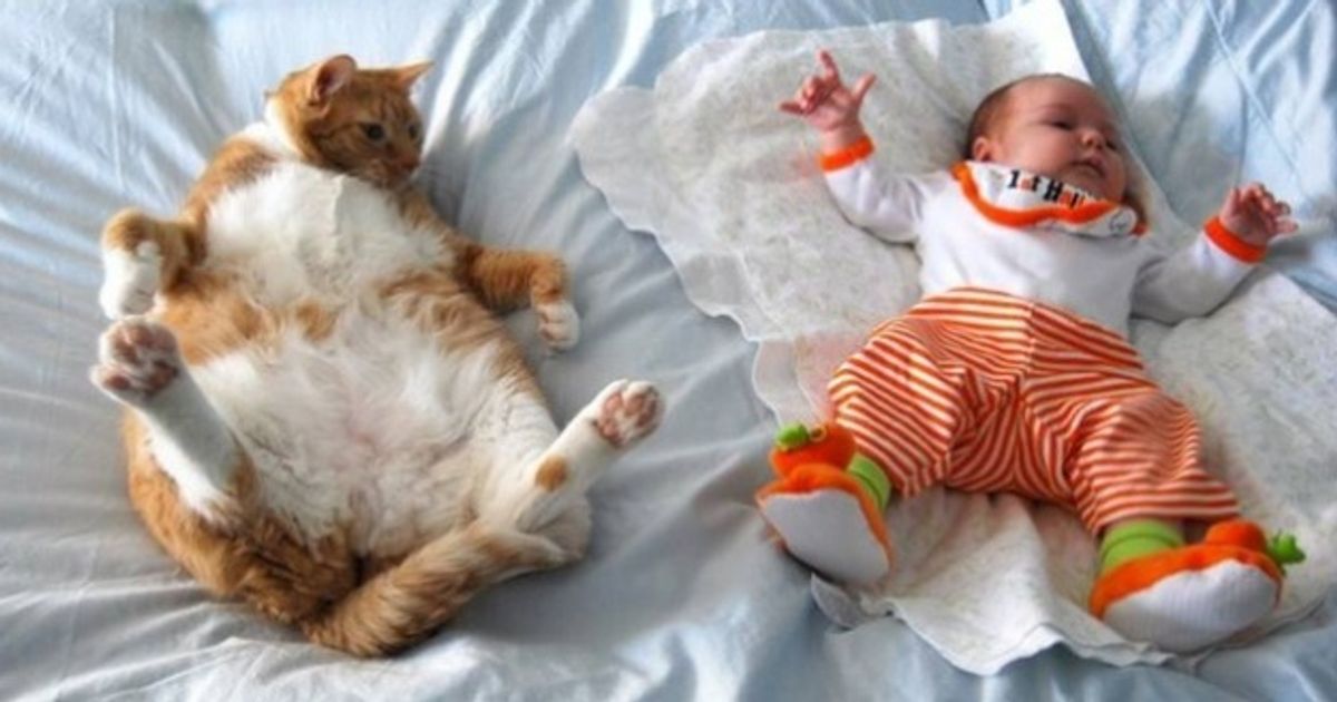 24 Imagens que o alegrarão até nos dias mais tristes